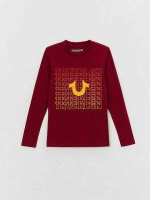 Camiseta True Religion Long Sleeve Logo Niños Fucsia | Colombia-VPQLHSM67