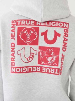 Sudadera con Capucha True Religion Logo Zip Hombre Gris | Colombia-KMBHRIA26