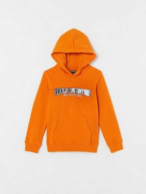 Sudadera con Capucha True Religion Logo Niños Naranjas | Colombia-DHTWCAZ43