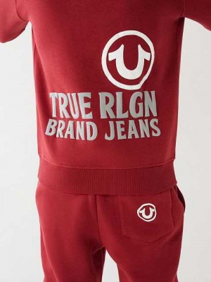 Sudadera con Capucha True Religion Puff Trbj Zip Up Hombre Rojas | Colombia-SXNYBTH72