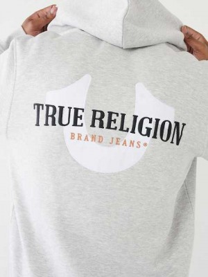 Sudadera con Capucha True Religion True Zip Hombre Gris | Colombia-FGBWPTO52