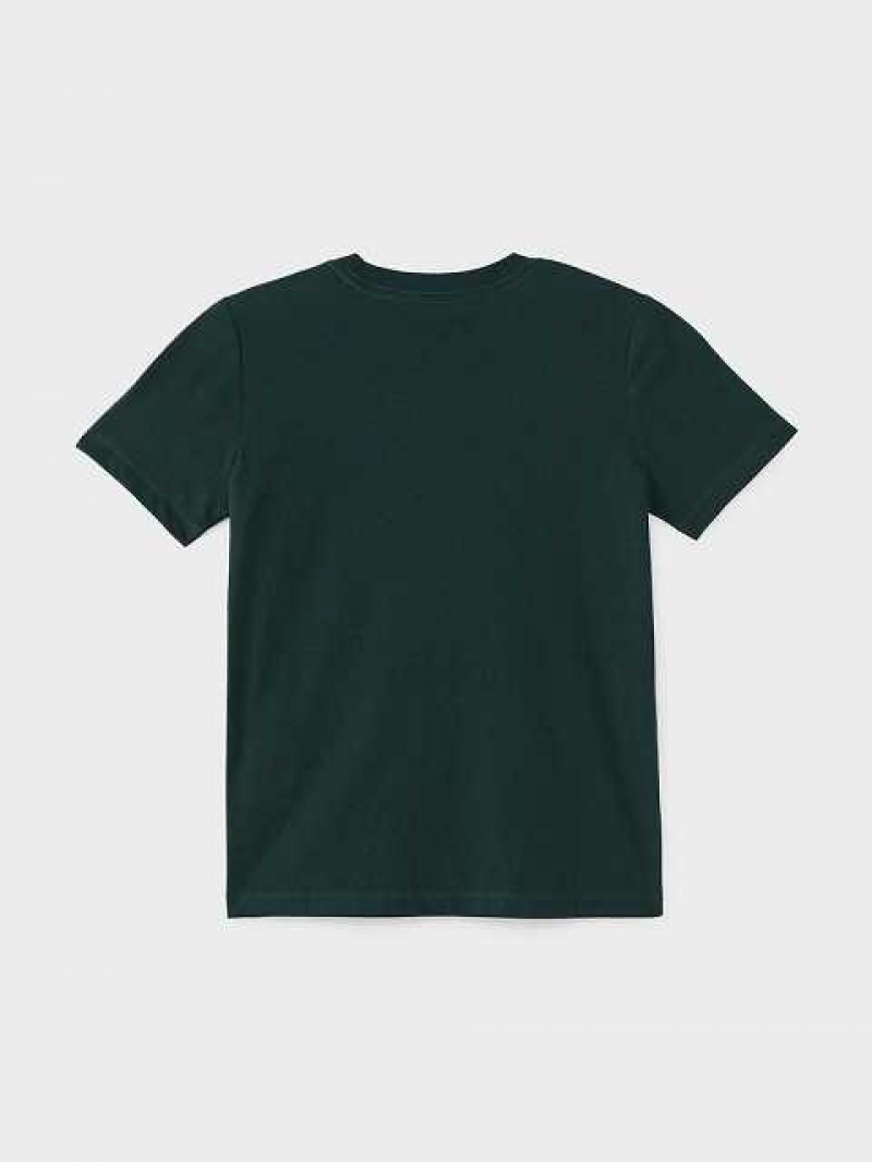 Camiseta True Religion 02 Tr City Hs Logo Niños Verde Oscuro | Colombia-TIQJPZB47