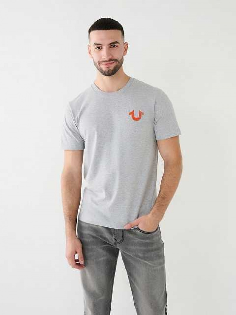 Camiseta True Religion Buddha Logo Crew Hombre Gris | Colombia-TXJLFQE46