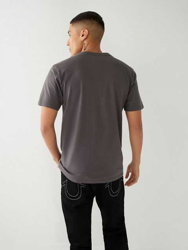 Camiseta True Religion Buddha Logo Hombre Gris | Colombia-EZGAYUW56