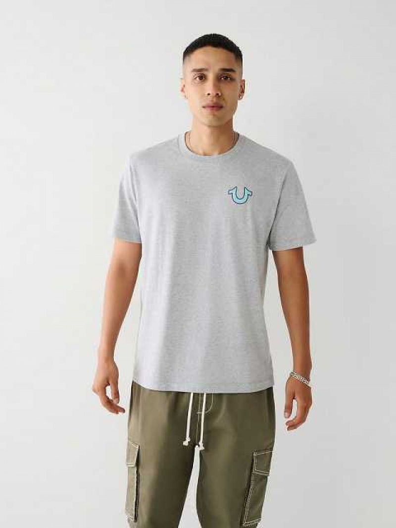 Camiseta True Religion Buddha Logo Hombre Gris | Colombia-DKLZBCE63