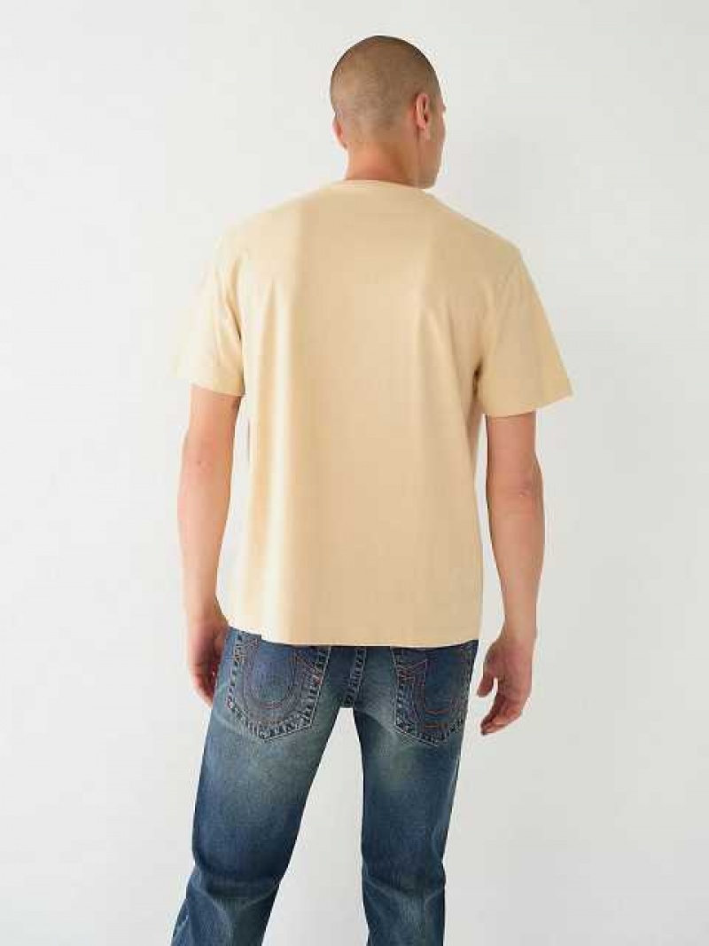 Camiseta True Religion Buddha Relaxed Hombre Beige | Colombia-JERSMCH41