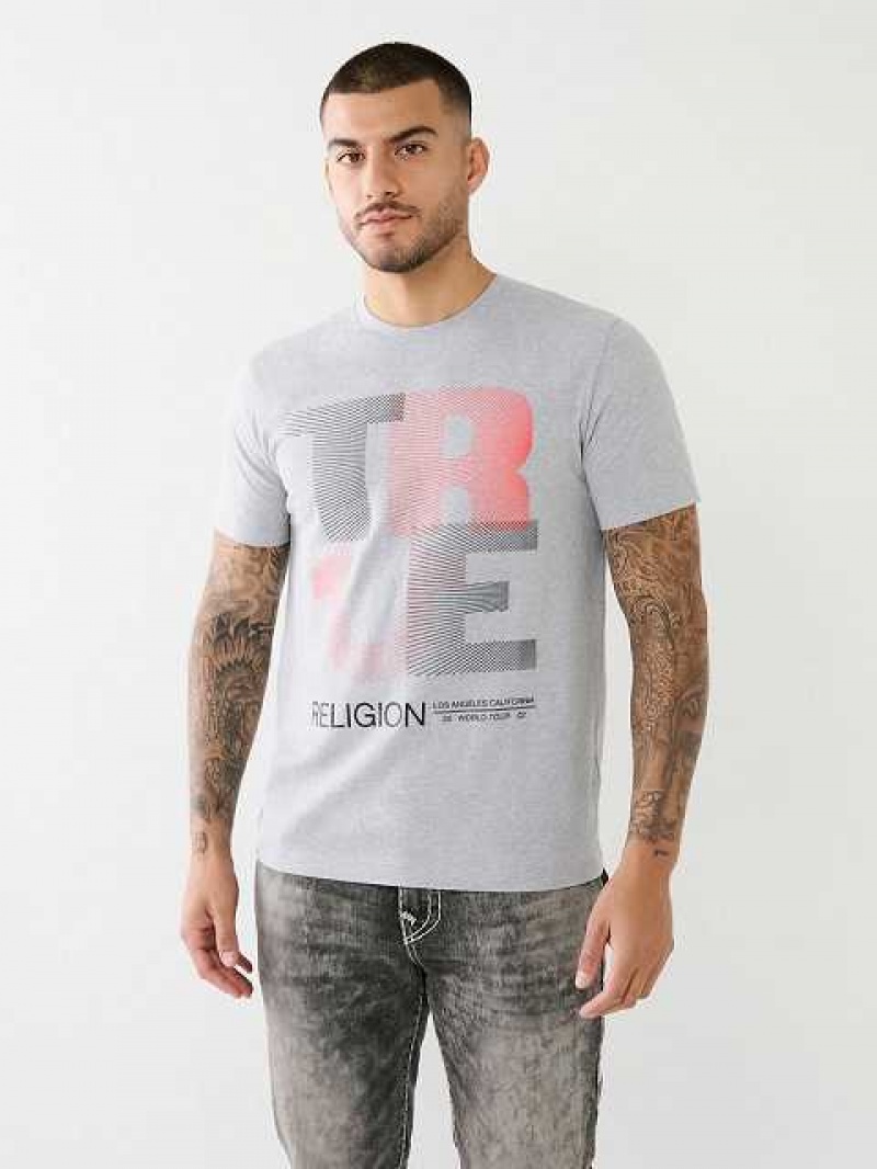 Camiseta True Religion Forro Logo Hombre Gris | Colombia-AUBSJWF95