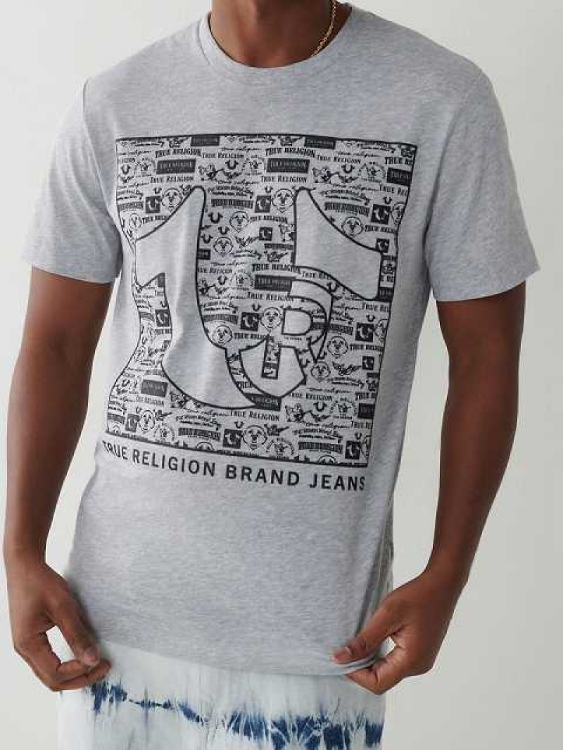 Camiseta True Religion Horseshoe Logo Hombre Gris | Colombia-ICGQUMD10