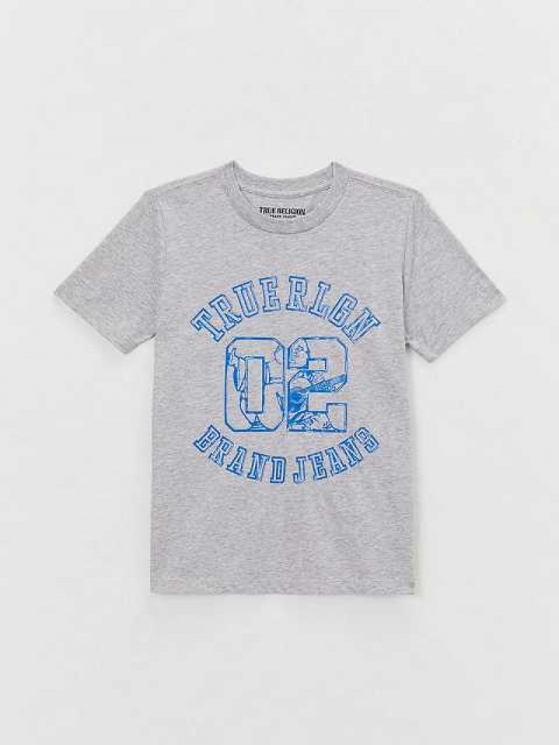 Camiseta True Religion Logo Niños Gris | Colombia-OQUCAHN83