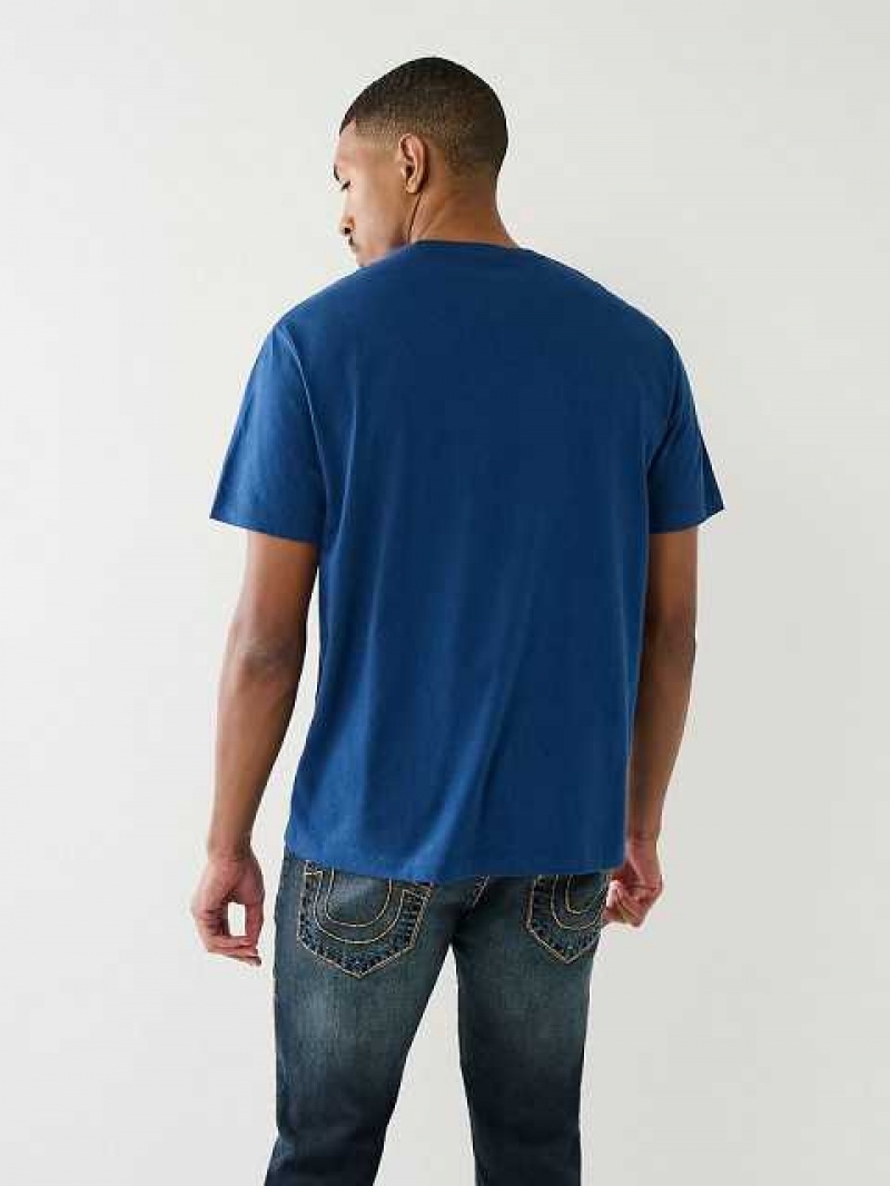 Camiseta True Religion Mountain Estampadas Relaxed Hombre Azules | Colombia-CABQZRK18