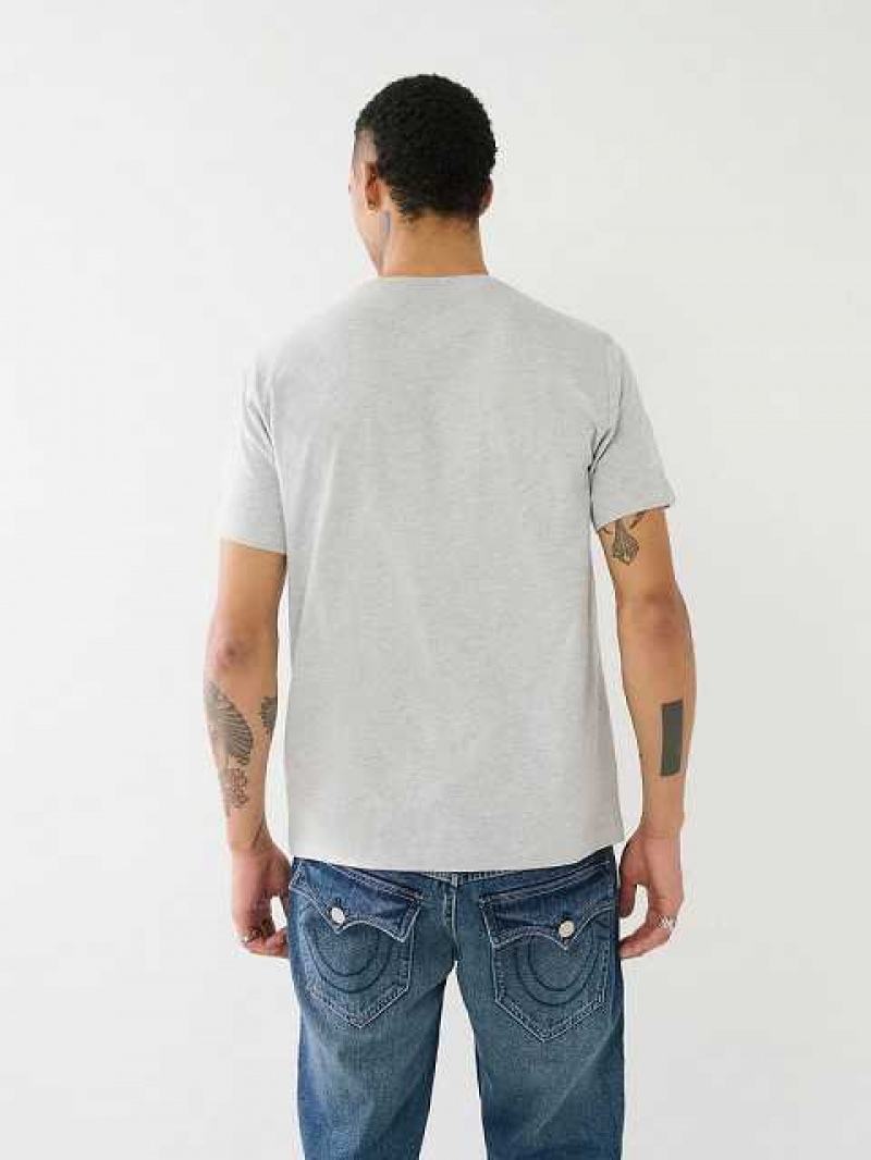 Camiseta True Religion Strike Horseshoe Logo Hombre Gris | Colombia-AGDMJKH02