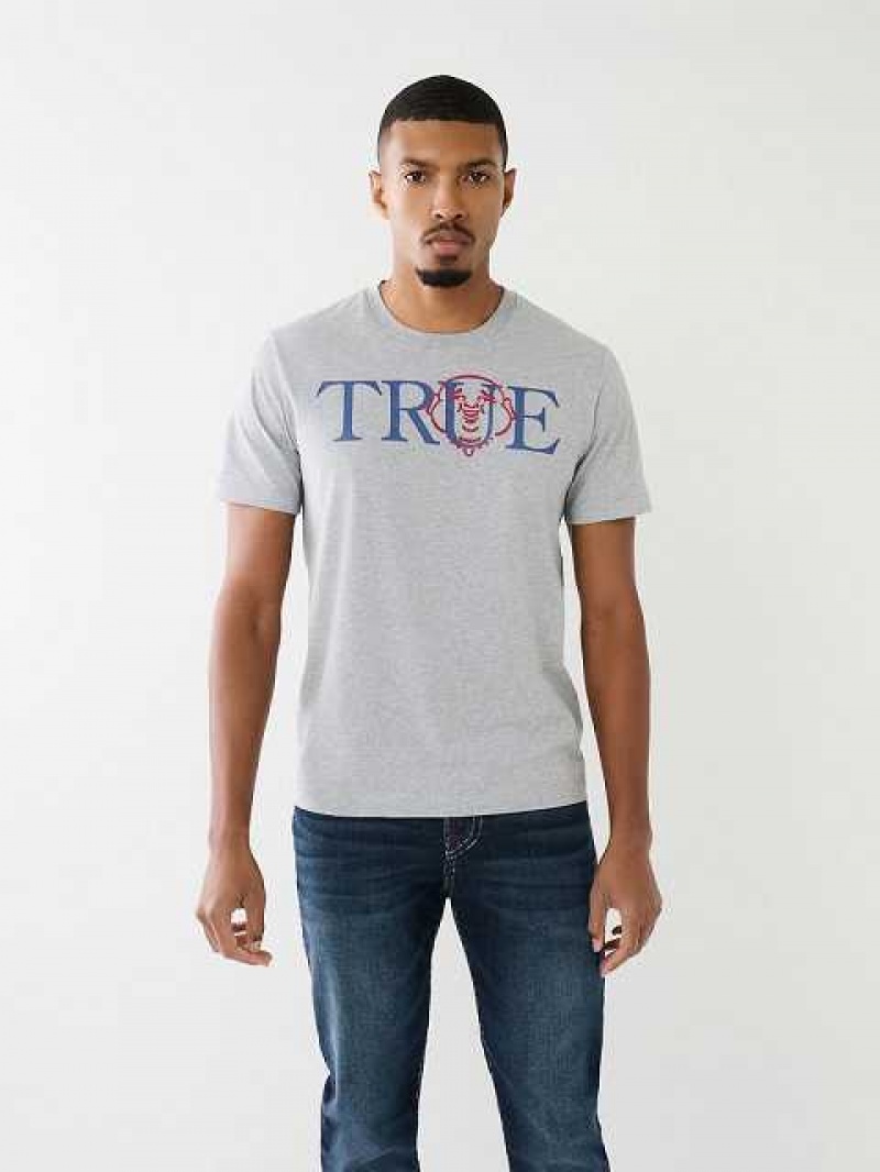 Camiseta True Religion True Buddha Logo Hombre Gris | Colombia-IXHSRNK29