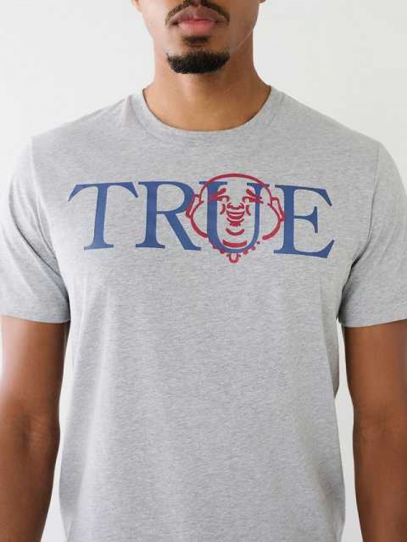 Camiseta True Religion True Buddha Logo Hombre Gris | Colombia-IXHSRNK29