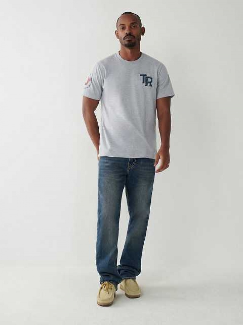 Camiseta True Religion True Logo Hombre Gris | Colombia-BJALPGU43