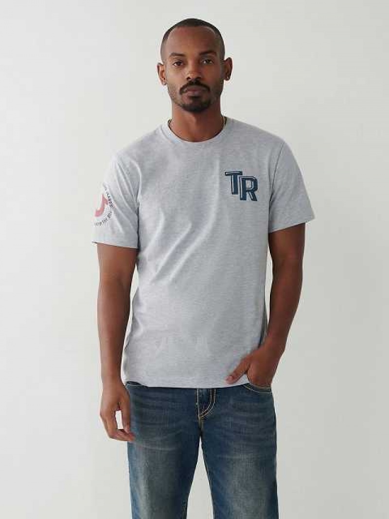 Camiseta True Religion True Logo Hombre Gris | Colombia-BJALPGU43