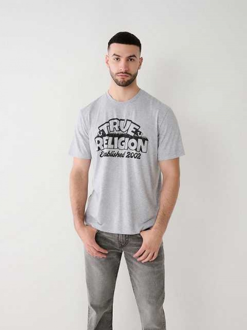 Camiseta True Religion True Relaxed Hombre Gris | Colombia-NSOMBDE42