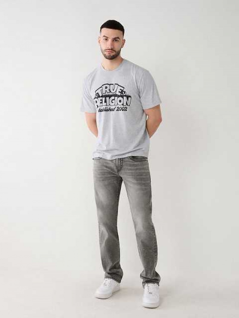 Camiseta True Religion True Relaxed Hombre Gris | Colombia-NSOMBDE42