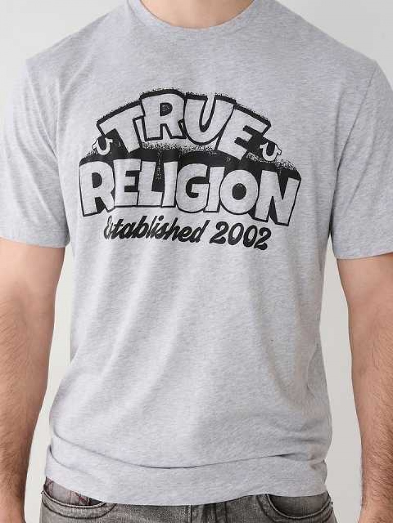 Camiseta True Religion True Relaxed Hombre Gris | Colombia-NSOMBDE42