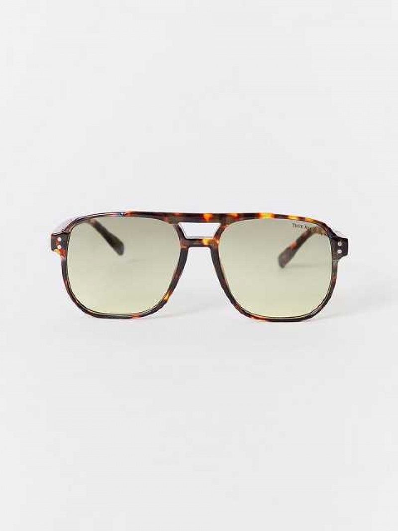 Lentes de Sol True Religion Tortiose Aviator Unisex Leopardo | Colombia-FHIRBPC47