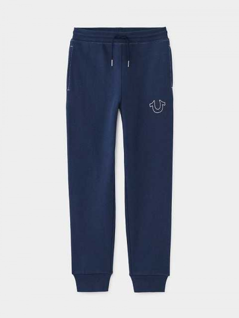 Pantalon Jogger True Religion Stitch Niños Azul Marino Azules | Colombia-KRUWXAV39