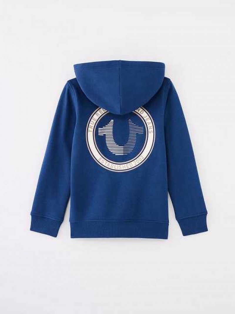 Sudadera con Capucha True Religion Logo Zip Niños Azules | Colombia-EXGPHLB45