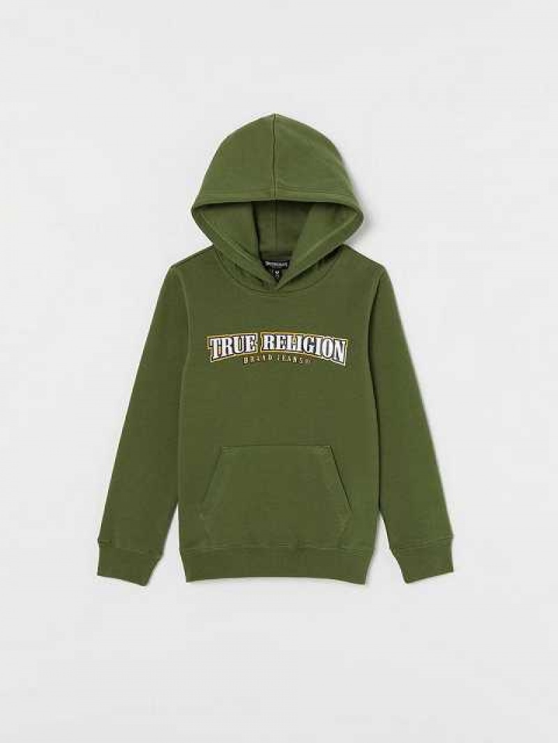 Sudadera con Capucha True Religion Logo Niños Marrones Verde | Colombia-CKEGRYW19