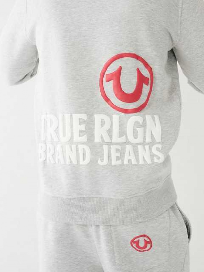 Sudadera con Capucha True Religion Puff Trbj Zip Up Hombre Gris | Colombia-PNTMKVS83