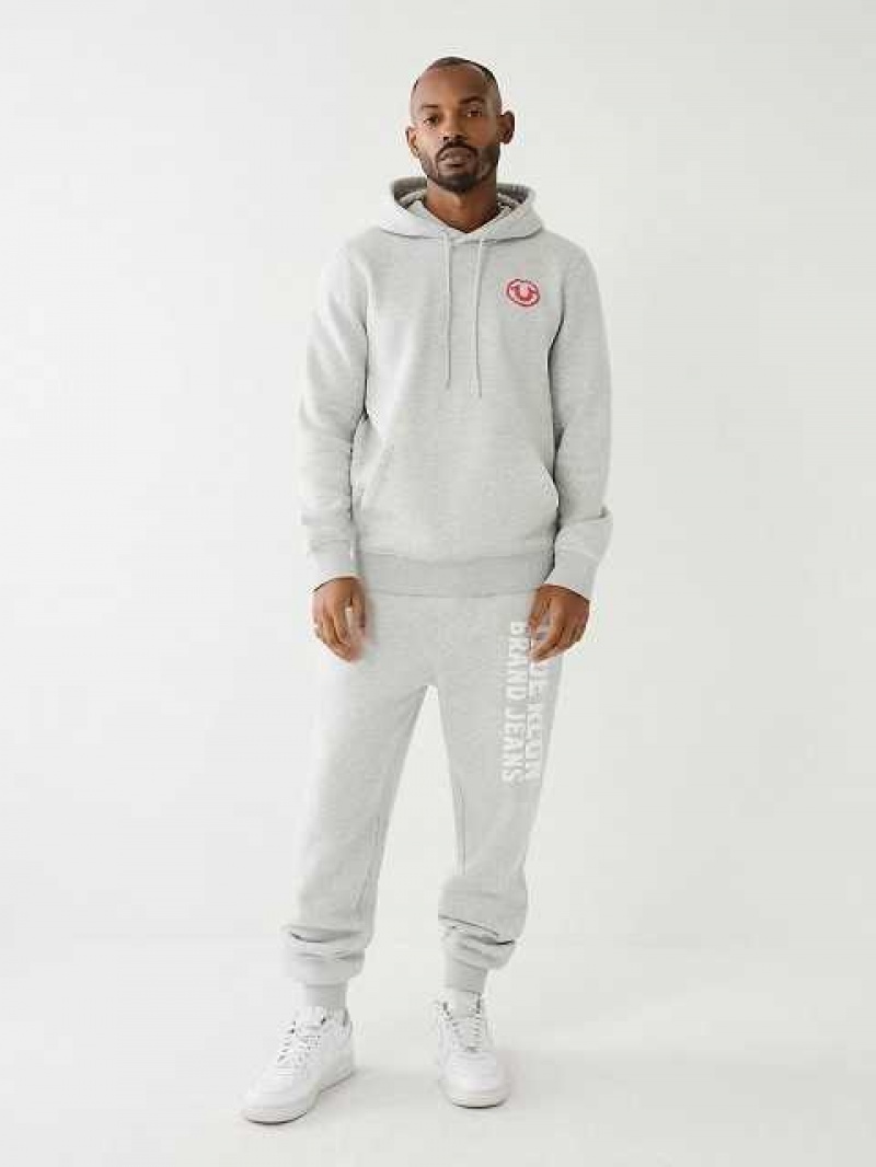 Sudadera con Capucha True Religion Puff Trbj Zip Up Hombre Gris | Colombia-PNTMKVS83