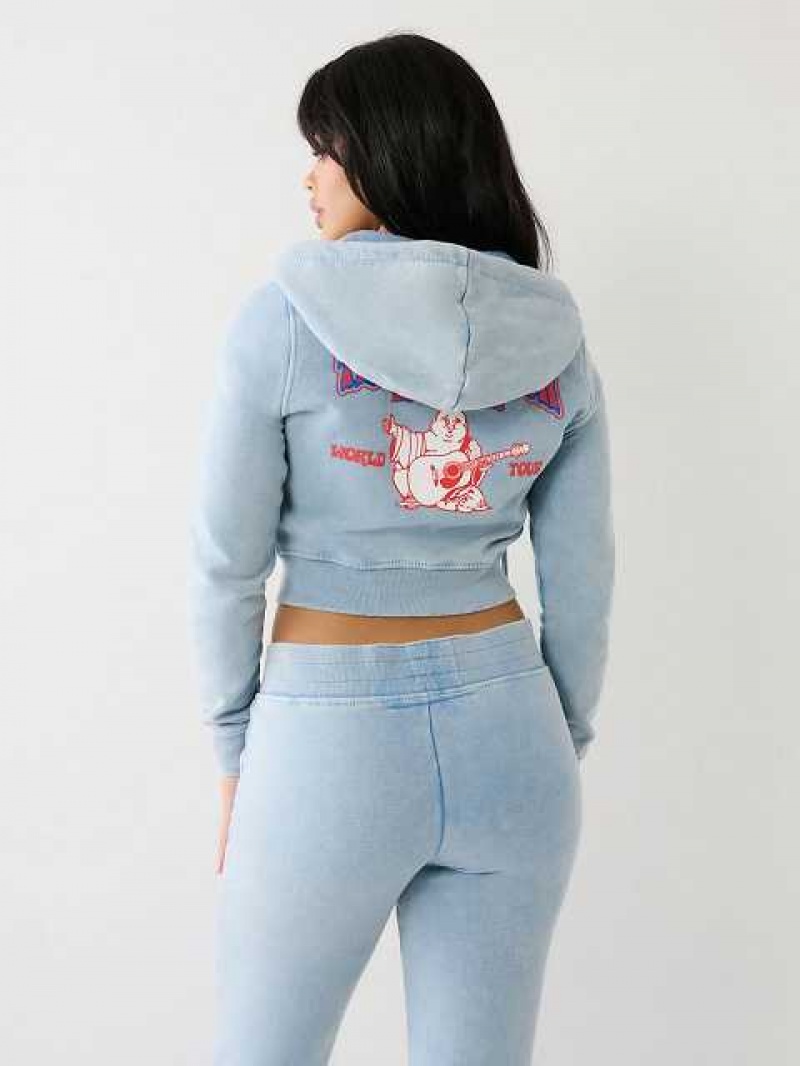 Sudadera con Capucha True Religion Washed Big T Logo Crop Mujer Azules Claro | Colombia-AMEVXRT57