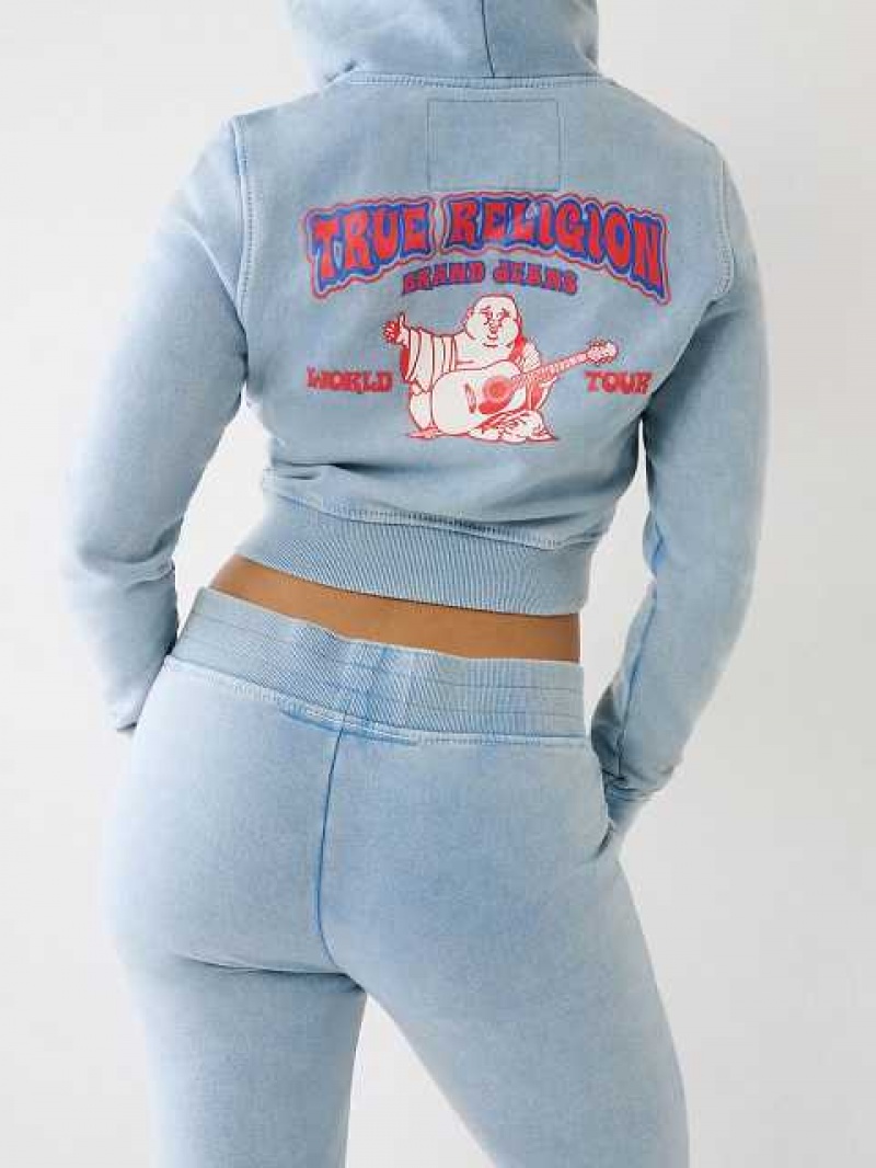 Sudadera con Capucha True Religion Washed Big T Logo Crop Mujer Azules Claro | Colombia-AMEVXRT57